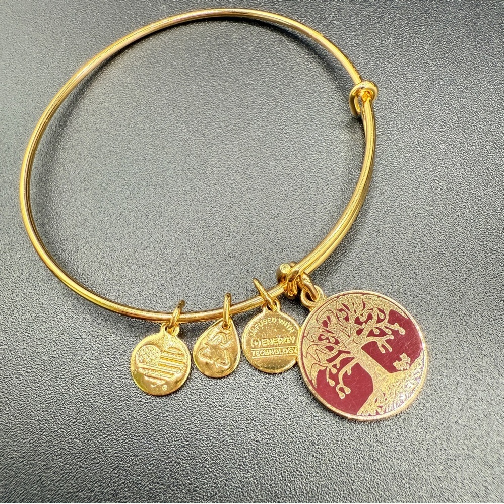 Alex and Ani Tree of Life 2015 Charm Bangle Bracelet